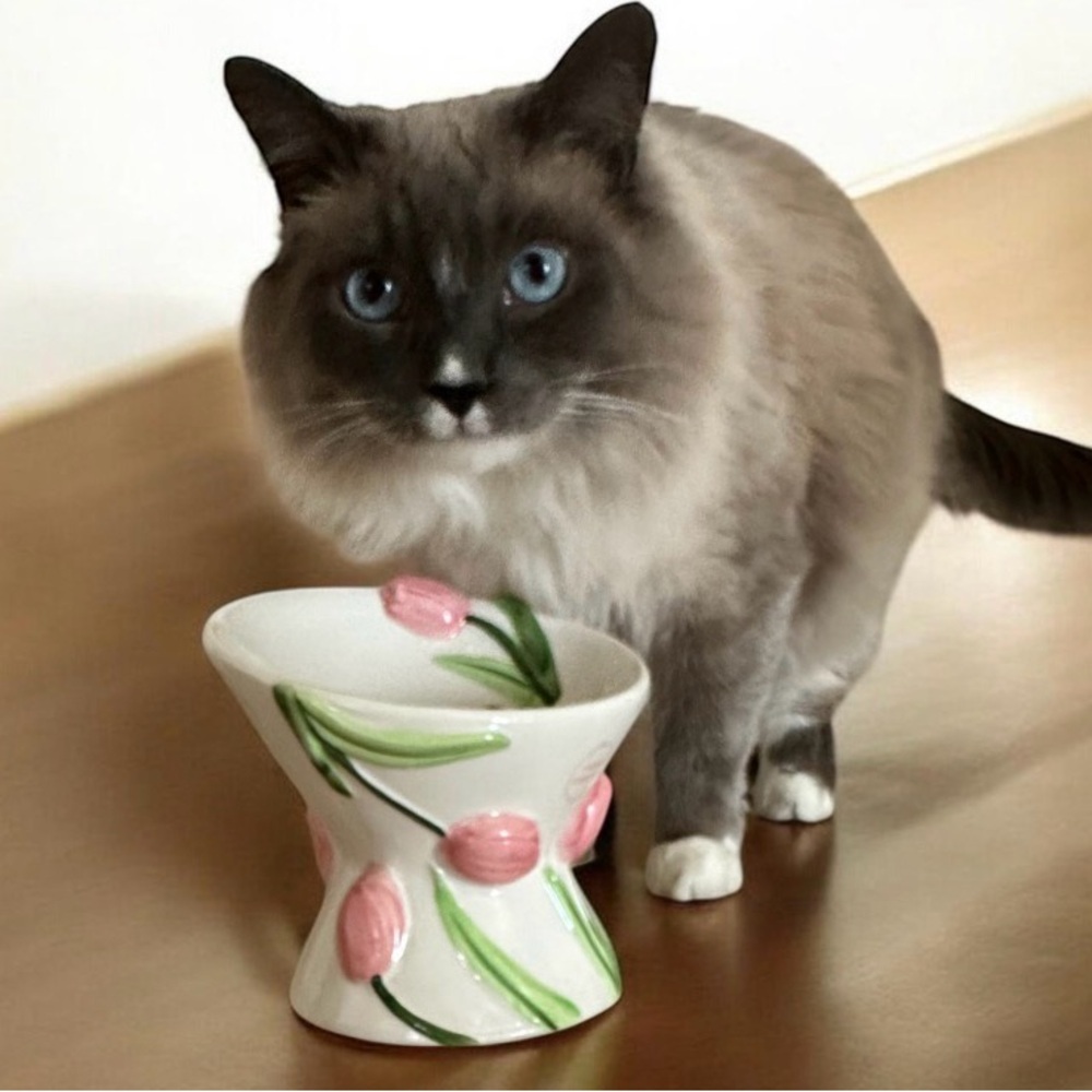 Hand-Painted Pink Tulip Ceramic Cat Bowl Decorative Pet Feeder or DrinkEaster